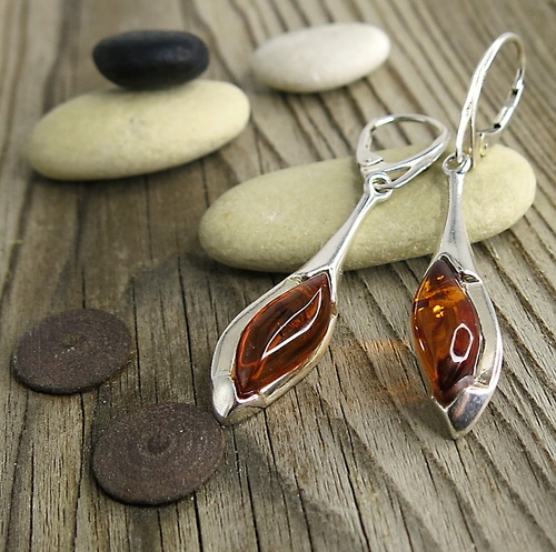 Elegantní dlouhé visací náušnice s jantarem Elegantní dlouhé visací náušnice s jantarem 1